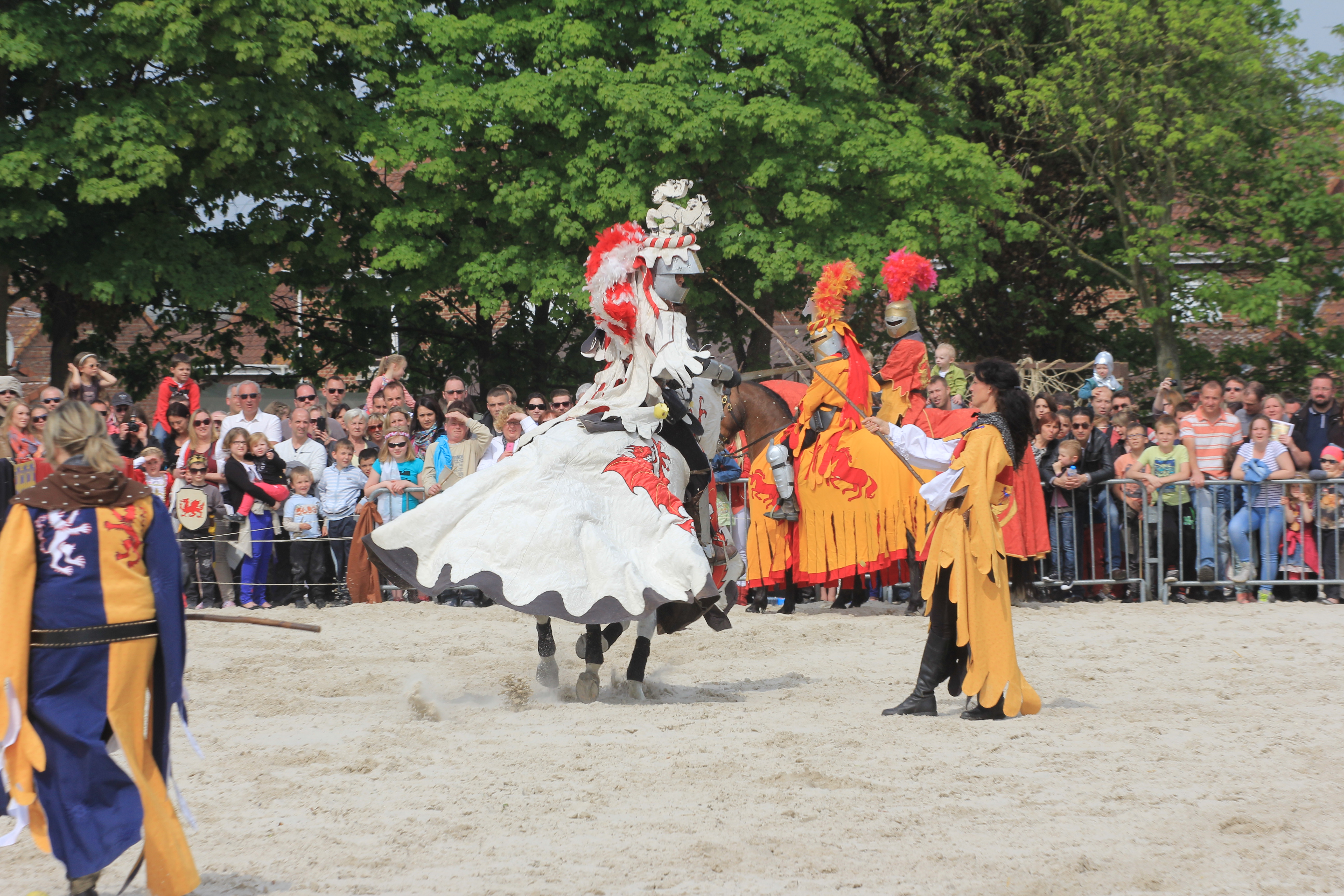 Les Médiévales 2014