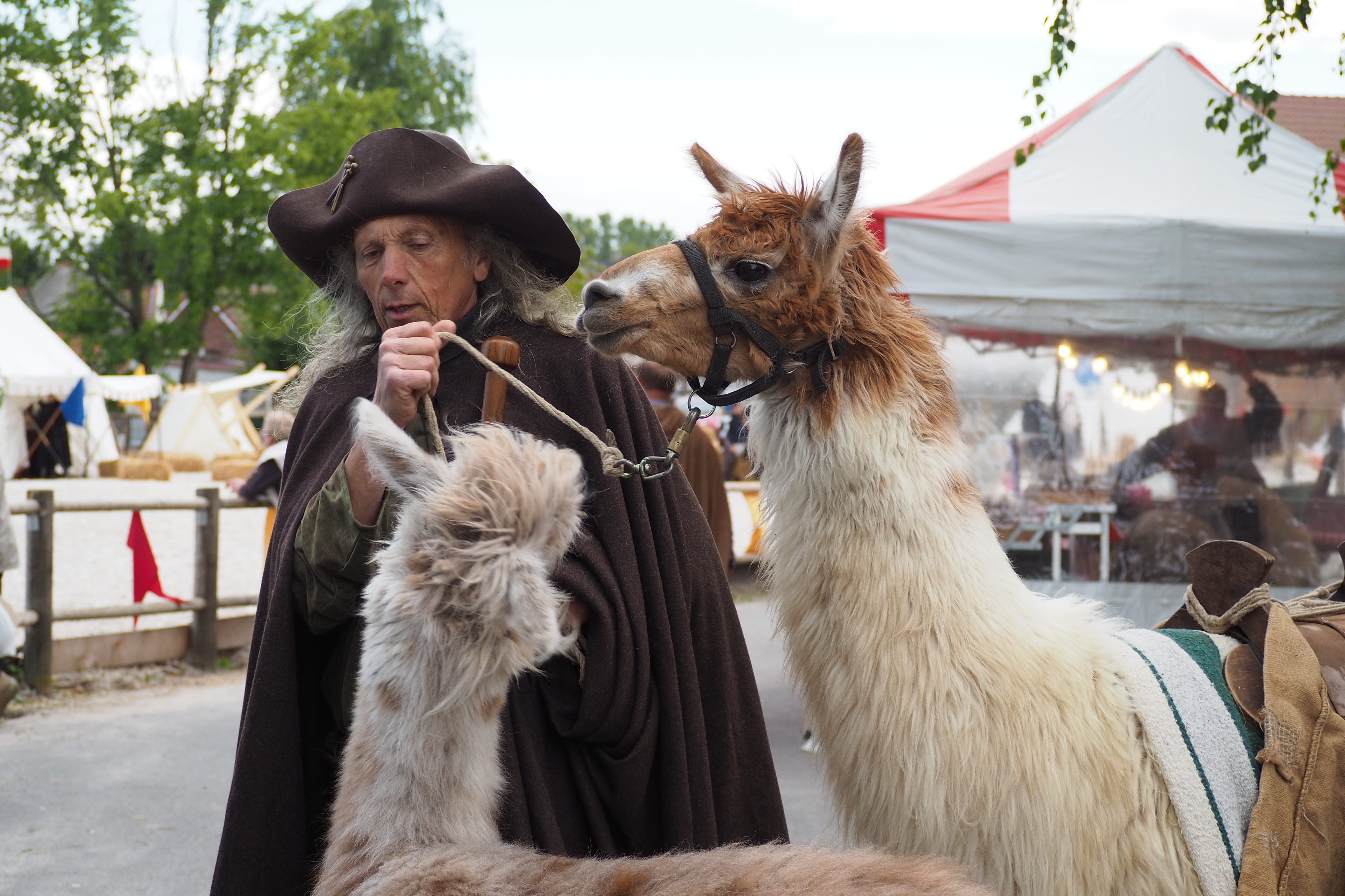 Les Médiévales 2019